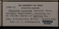 Image Associated With the Occurence